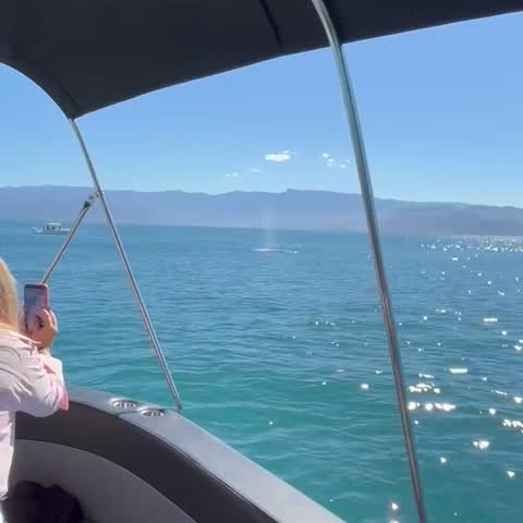 A bordo do Ilhabela.Charter I